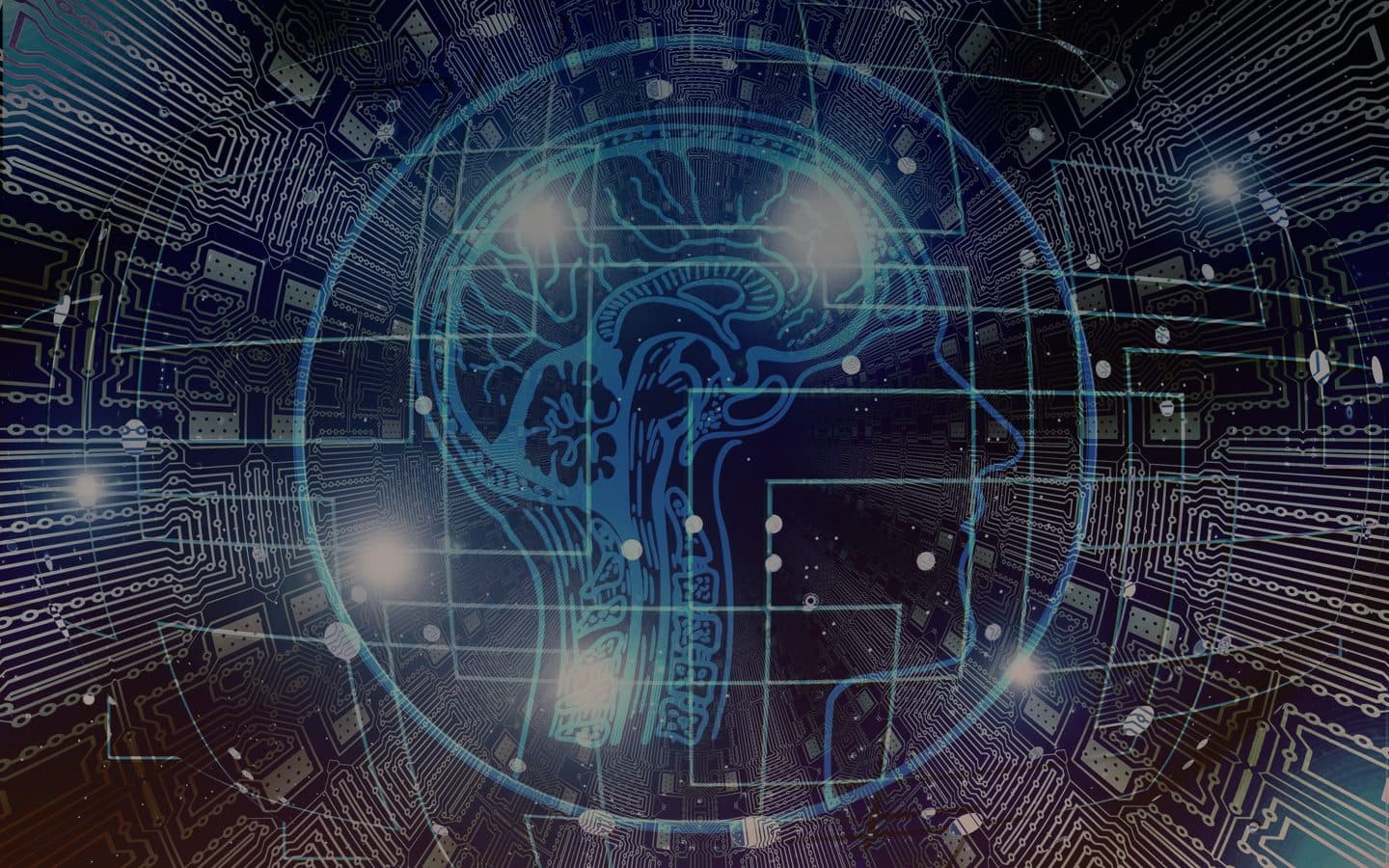 Made by Humans AI Platform
